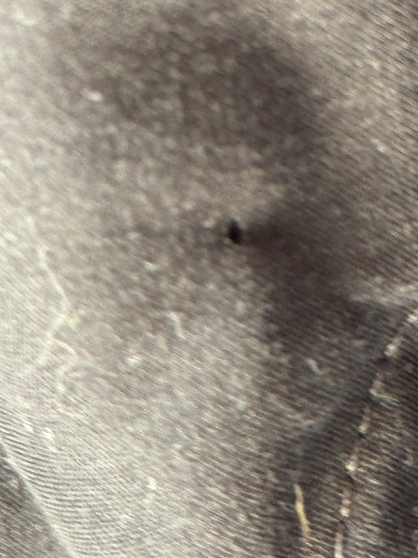 Adidas Marseille Trainingsanzug 2010/11 (S)